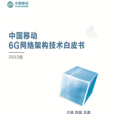 6G网络架构技术白皮书