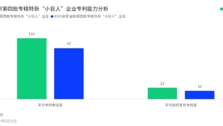 上海245家第四批专精特新“小巨人”专利能力高于全国水平