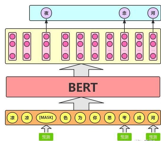 新知达人, 【面试经验】关于BERT，面试官们都怎么问