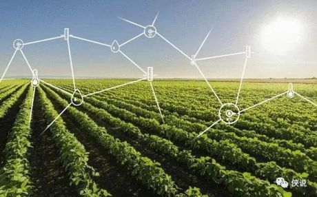 和君&中国农科院：2022年中国农业数字化转型白皮书