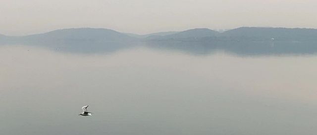 一城一品标杆餐厅：各有千秋，殊途同归。