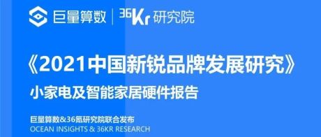 2021中国新锐品牌发展研究-小家电及智能家居硬件报告-巨量算数