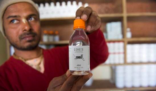 印度牛尿饮料出口中国图片