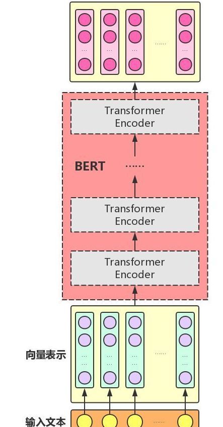 新知达人, 【面试经验】关于BERT，面试官们都怎么问