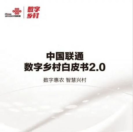 2022中国联通数字乡村白皮书【PPT】