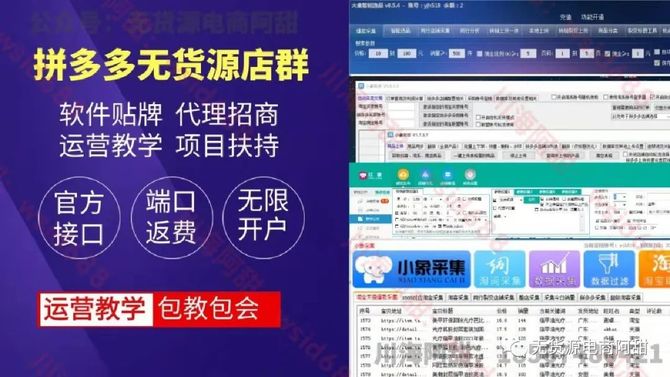 拼多多店群采集上货拍单群控软件代理多种运营玩法实操教学