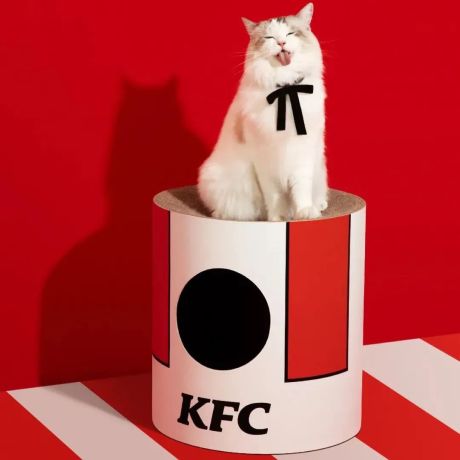 肯德基跨界卖猫窝，宠物经济为何总能吸引品牌借势？