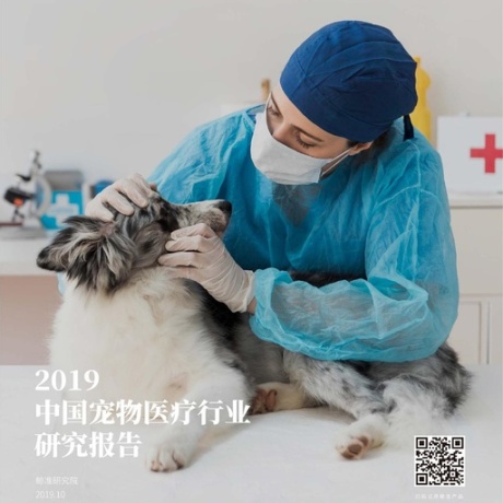 鲸准研究院：2019中国宠物医疗行业研究报告