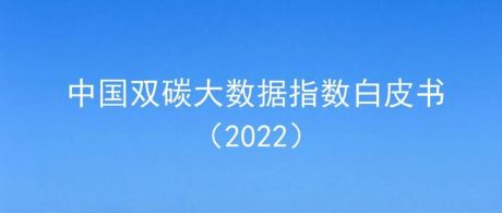 中国双碳大数据指数白皮书（2020）