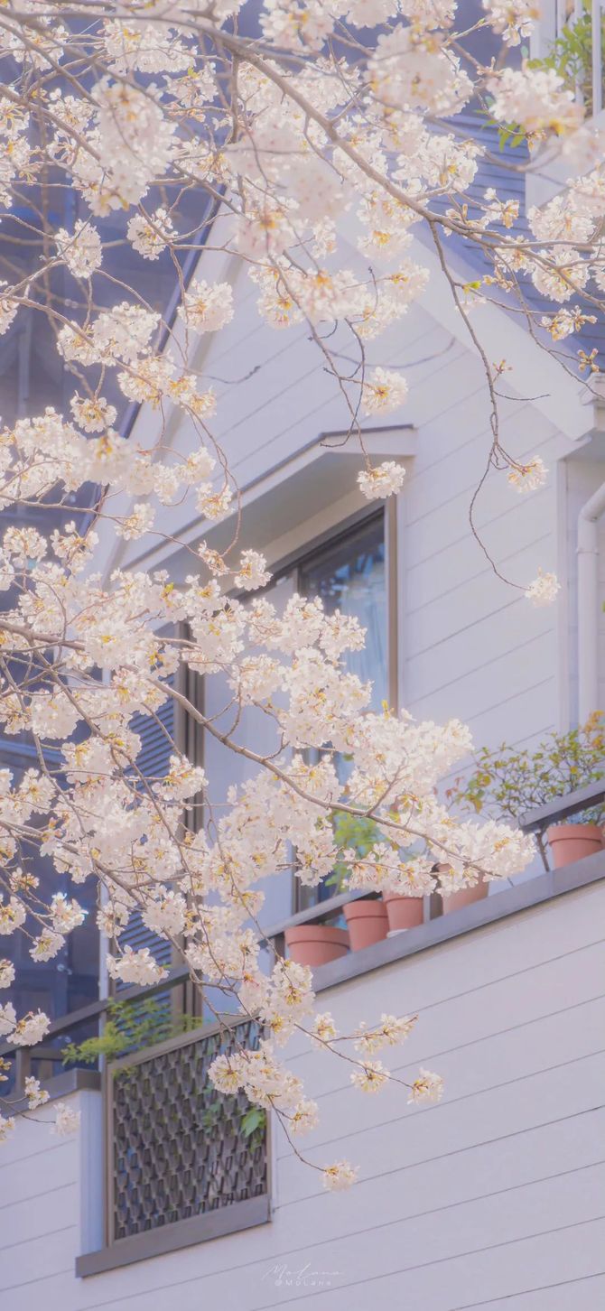 一些超唯美的朋友圈配图