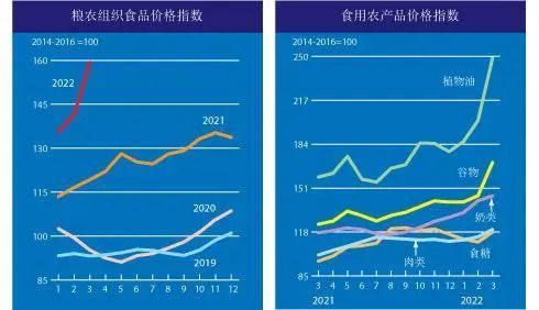 屋漏偏逢连日雨俄乌冲突下全球食品价格上涨压力山大