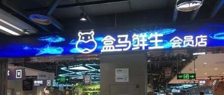 盒马兵败，商超逞威，新零售败走下半程
