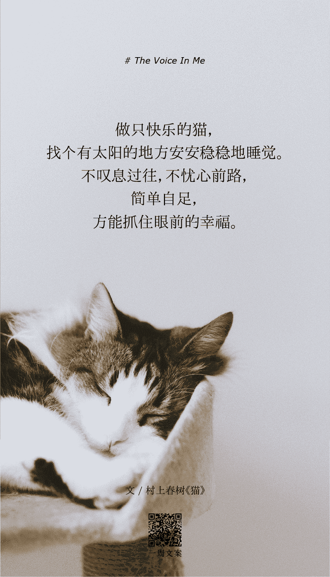 新知达人, 一些适合发朋友圈状态的文字(09)