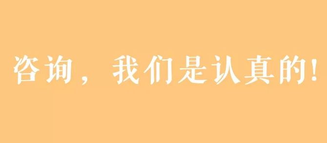 新知达人, 网络营销顾问服务