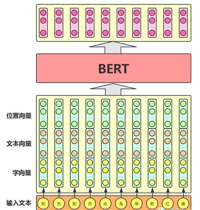 新知达人, 【面试经验】关于BERT，面试官们都怎么问