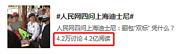 新知图谱, 家法大过国法，上海迪士尼坚持对游客翻包检查