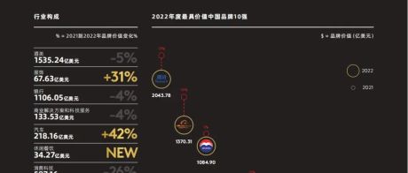 2022年最具价值的中国品牌100强报告（220页）