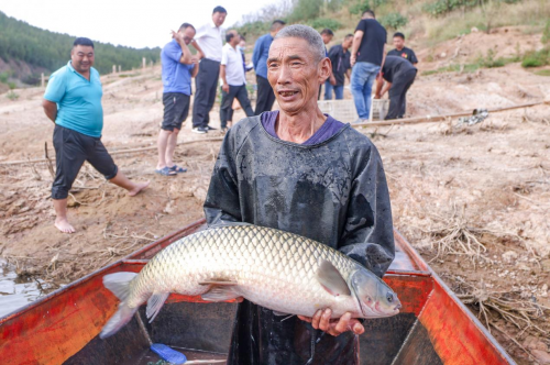 新知达人, 丹江湖畔响起传统“号子”声 渔民再现旧时场景庆丰收