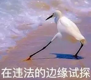 新知达人, 三次偷割韭菜获利8元,临川一男子获刑6个月