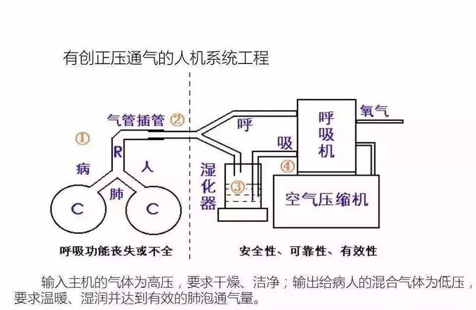 新知达人, 疫情之下的救命稻草——呼吸机