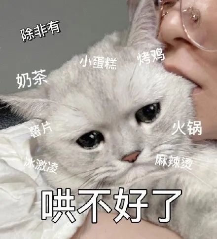 表情包丨哄不好了