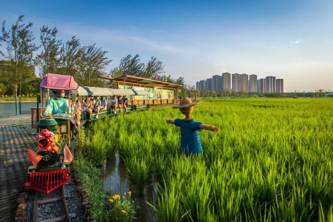 在都市的稻香公园,打造互动体验式都市农业景观 | 长安公园 · 稻香园