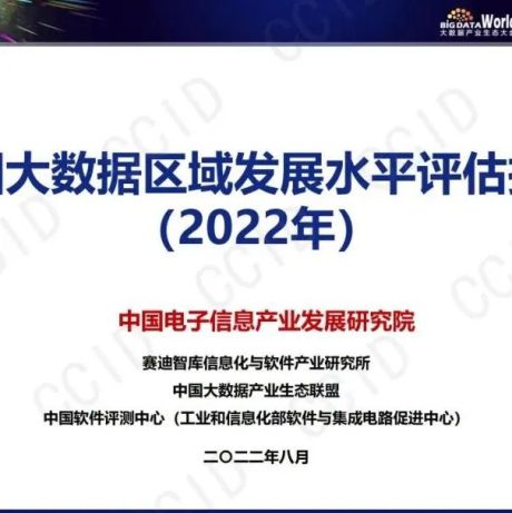 2022年中国大数据区域发展水平评估报告