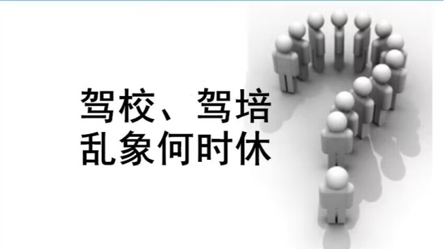 杨建允在关于西安庆华驾校的文章中指出了驾校驾培的哪些乱象？