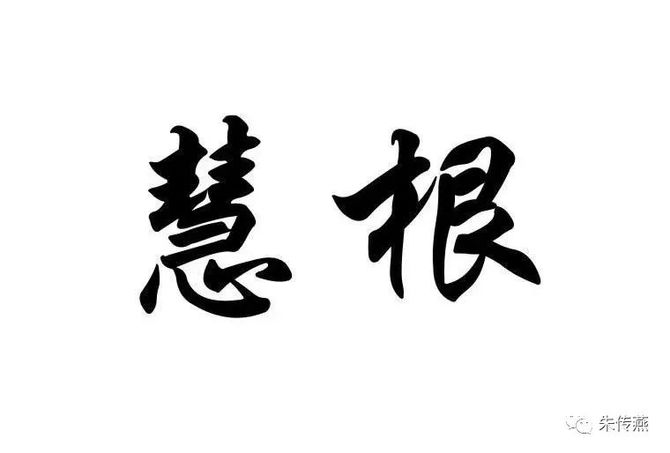 朱传燕慧根与会跟的智慧