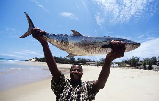 新知达人, 非洲积极发展蓝色经济