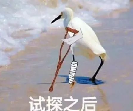 新知达人, 三次偷割韭菜获利8元,临川一男子获刑6个月