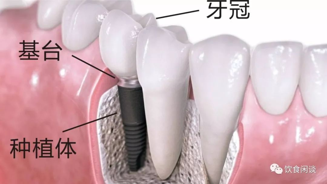 週末悅讀|張生勇:做牙齒的朋友