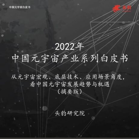 2022年中国元宇宙产业系列白皮书