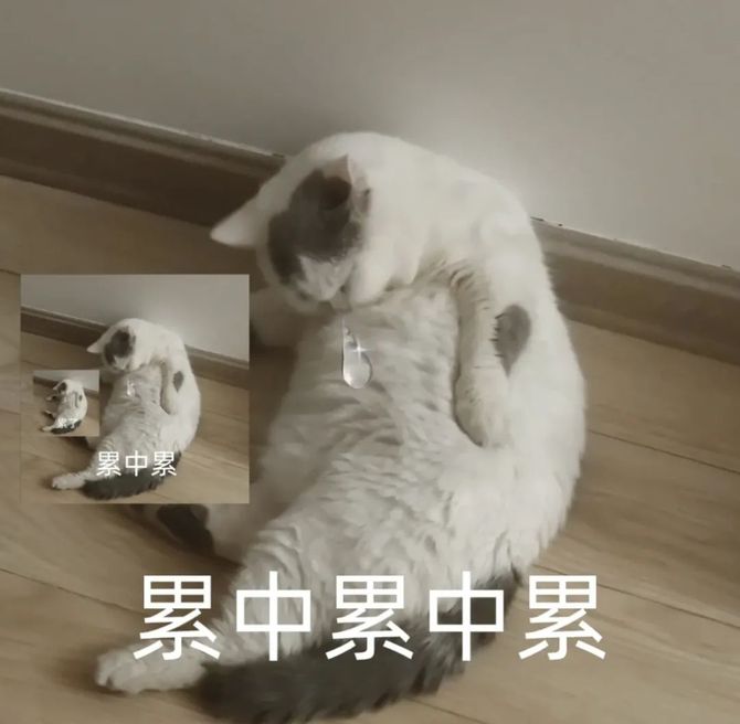 新知达人, 互联网人的崩溃是从加班开始