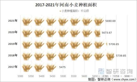 2021年河南小麦种植现状（附种植面积、产量、收购价格、生产成本、生产收益及用工情况）[图]