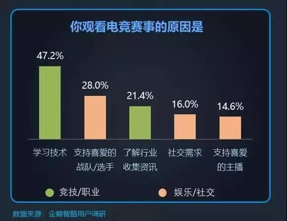 新知达人, 电竞综艺的破圈探索