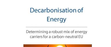 为欧盟碳中和确定稳健的能源载体组合