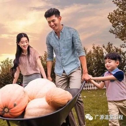 投资几百万的休闲农场为什么赚不到钱？