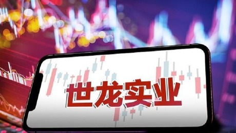 世龙实业遭立案调查，开盘跌停，律师征集受损股民维权