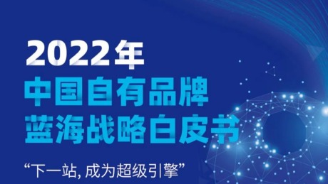 2022中国自有品牌蓝海战略白皮书