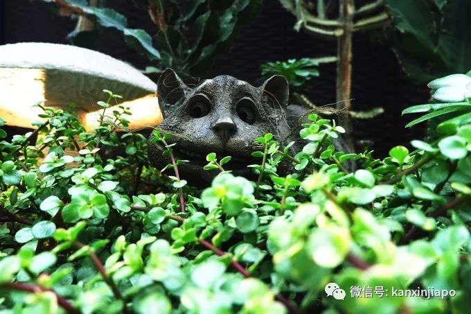新知图谱, 畅游新加坡,美食美景都不可辜负~