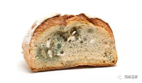 当食物发霉的时候是不能吃的,因为发霉的食物中有可能含有黄曲霉素,是