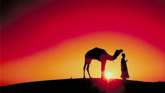 管理寓言故事：骆驼与宙斯