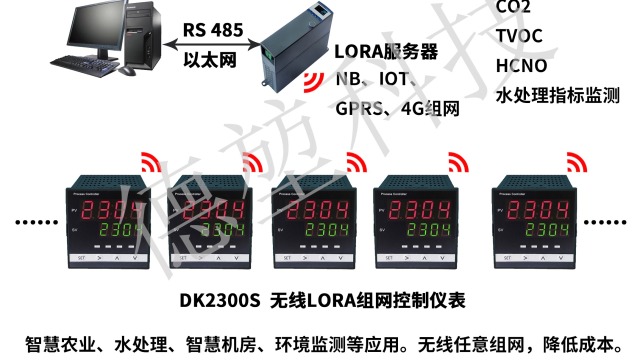 DK2300S无线LORA组网控制仪表