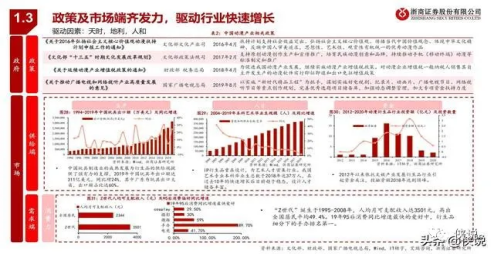 刘大大, 分享一个关于潮玩行业的竞品分析报告