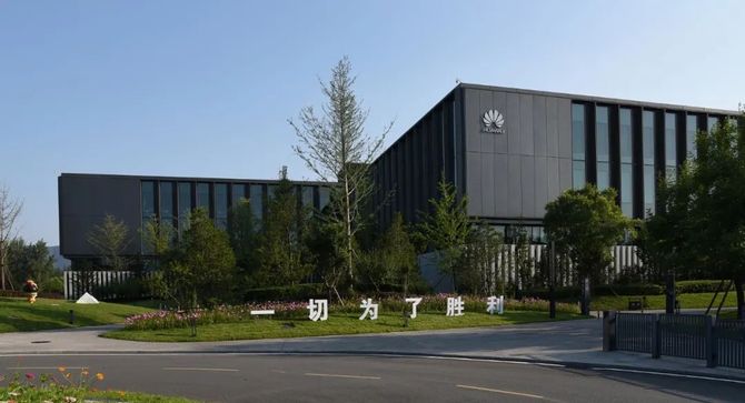 新知达人, 任正非选天才,张一鸣用平常人