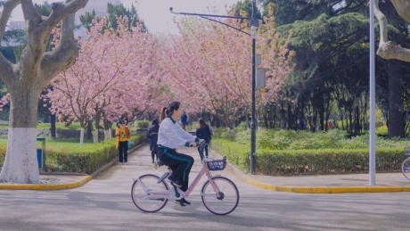 哈啰发布2022年高校骑行趣味榜单，天津大学等高校上榜