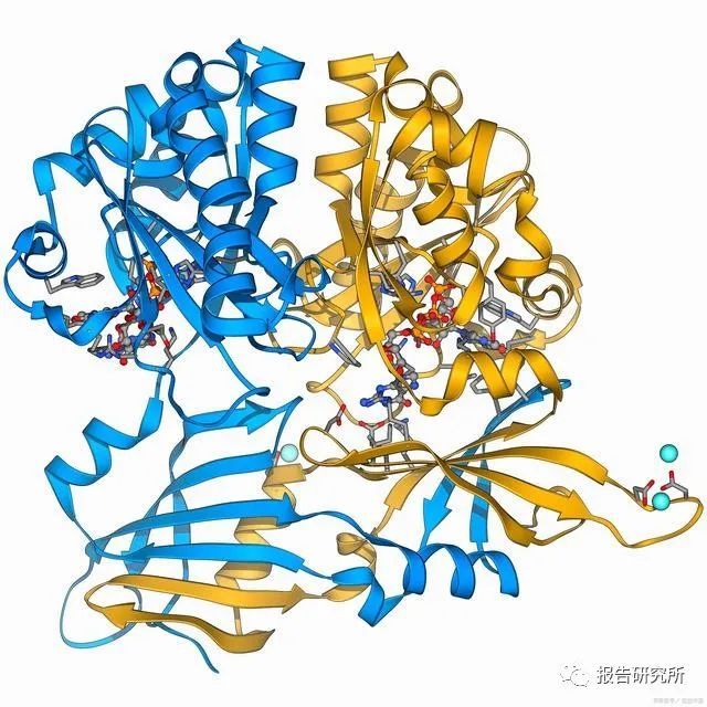 医药生物行业专题报告mrna技术有望迎来黄金十年