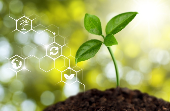 三农日报政策银行保险业聚焦农业强国重点领域我国绿色农业利用发展