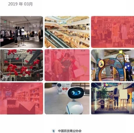 中国百货零售业发展报告